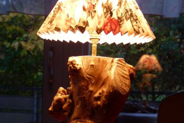 lampe-l13BDFCD59-425A-C4F8-EE43-3ED1E47BA47C.jpg