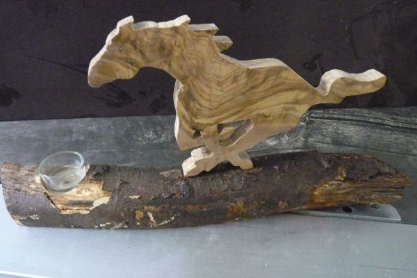 mustang37AD66D9A-A473-BA03-BA93-9DFB8E5EEC4D.jpg
